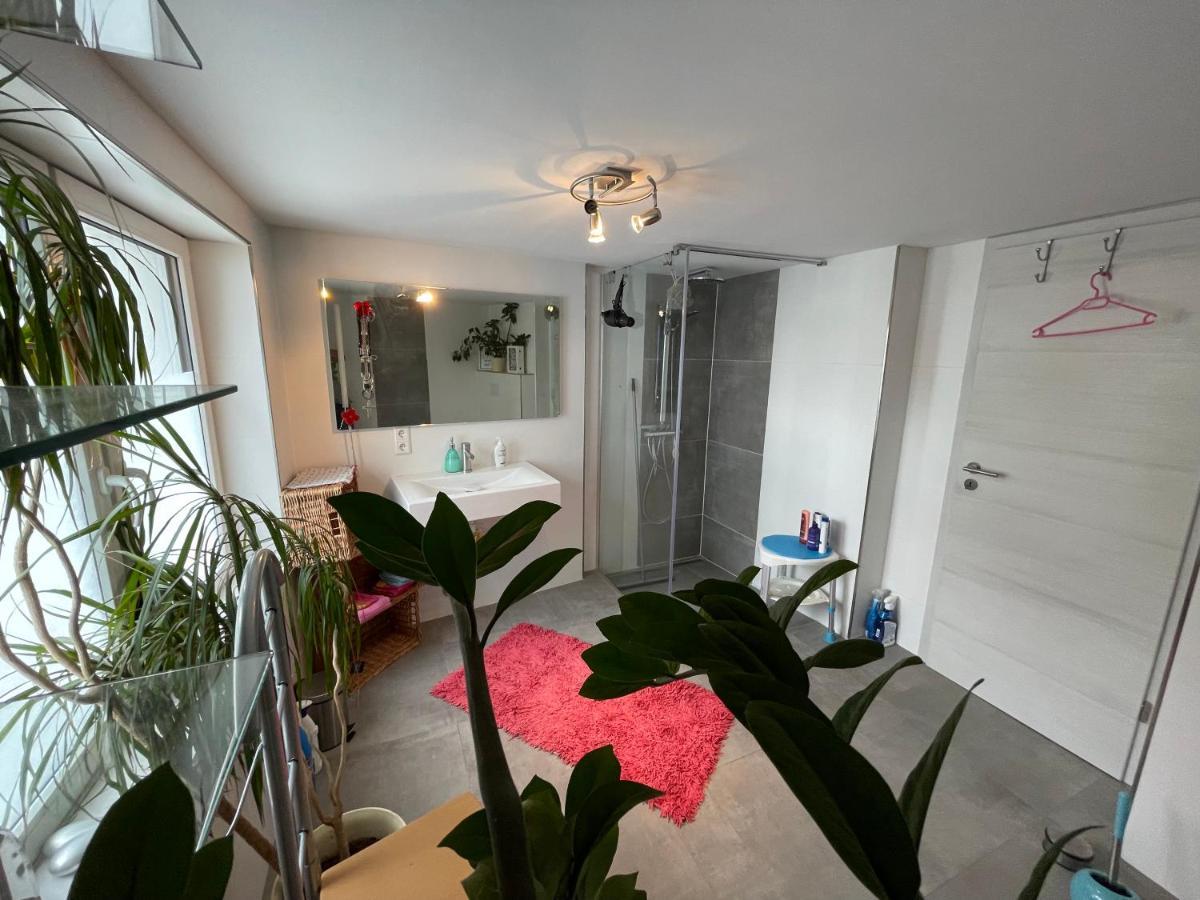 Willingenvakanties,Modern Quality Apartments Restyled Nov 2022 Willingen 2023 外观 照片